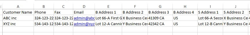 Enter customer information to Customer Template